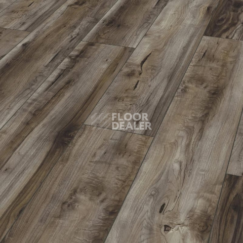 Ламинат Kronotex Exquisit Plus d6006 Клен Каньон Темный фото 1 | FLOORDEALER